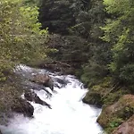 Casa Manke - Palguin Alto - Pucón -Bosque y Río