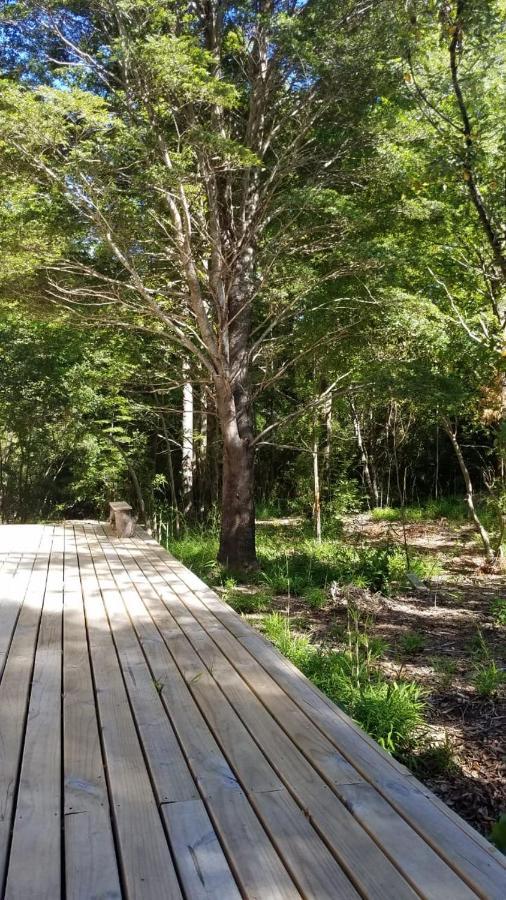 Casa de férias Pucon-casa Manke-palguin Alto - Bosque Y Rio *